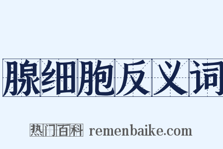 腺细胞反义词是什么意思的图片